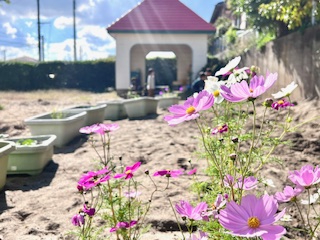 のびのびくらぶの2026年度の予定を更新しました